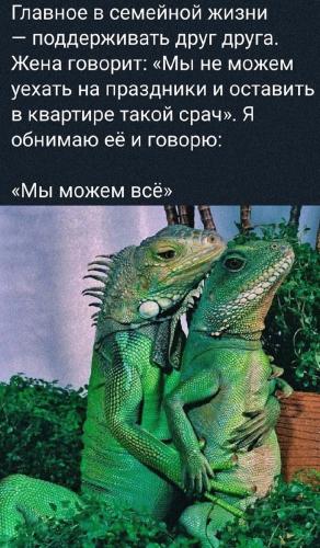 Главное-поддержка! Юмор, Семья, Ящерица, Картинка с текстом