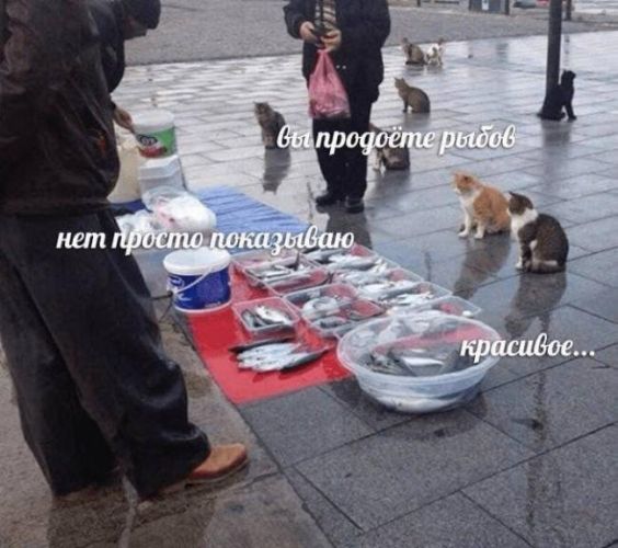 Хорошее продающее объявление для Avito убережет от такой ситуации