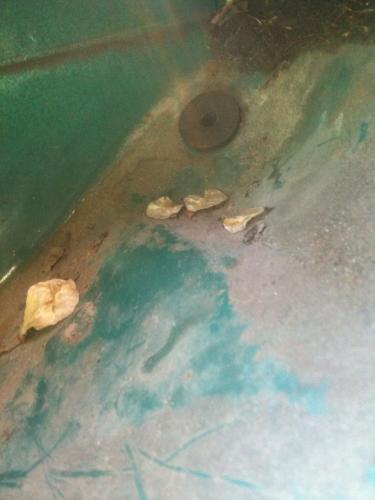 Фото в бортжурнале LADA 21053