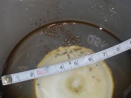 Менять ли масло после обкатки?