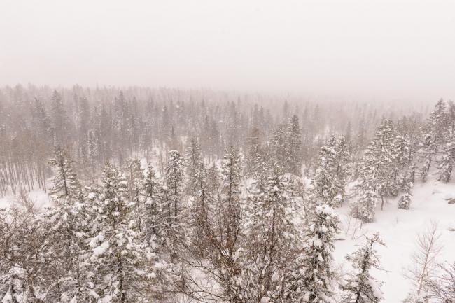 Фотография 8. На смотровую площадку Черная скала на Таганае советую подняться даже в плохую погоду. Отзывы туристов о путешествии по Южному Уралу. Достопримечательности в окрестностях города Златоуст Челябинской области. 1/320, +0.67, 8.0, 400, 24.