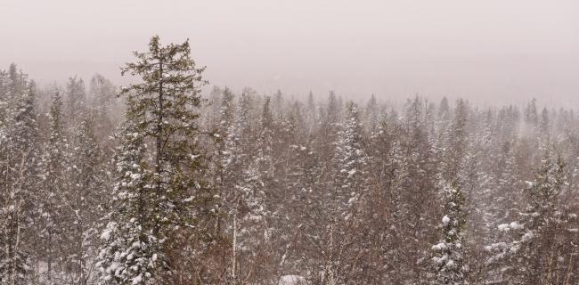 Снимок 12. Стоит ли ехать на Черную скалу в плохую погоду? Конечно, стоит! Отзыв о путешествии по Южном Уралу на машине. 1/400, +0.33, 8.0, 400, 70.