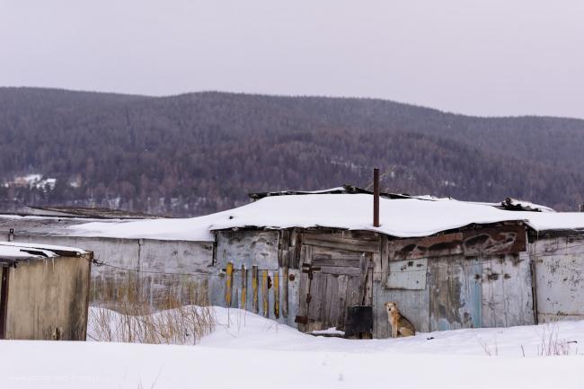Фотография 19. Один из местных жителей Сатки. Отзывы туристов о поездке по интересным местам Челябинской области. В окрестностях памятника «Серп и молот». 1/1000, +0.33, 3.2, 400, 95.