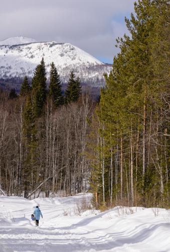 Фото 30. Виды у кордона «У трех вершин» в национальном парке «Зюраткуль». Гора Большой Уван. Не представляю, как на нее забираться зимой – с таким уклоном. А туристы ведь ходят… 1/1000, 11.0, 4.0, 400, 112.