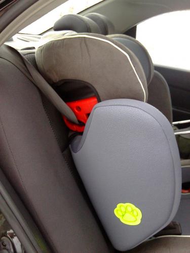 Фото в бортжурнале Chevrolet Aveo Sedan (1G)