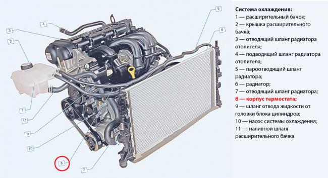Замена термостата Форд Фокус 2