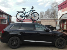 thule proride 591 1